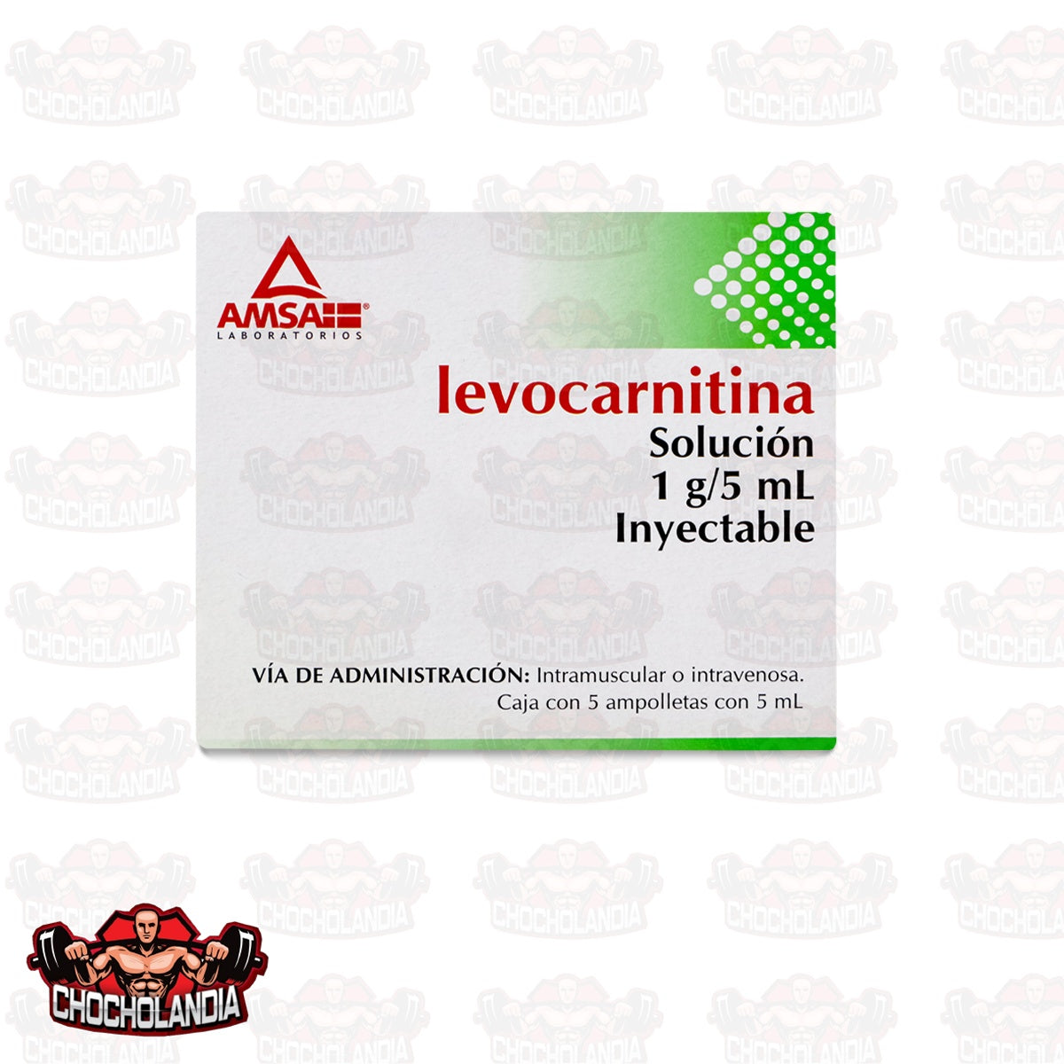 LEVOCARNITINA SOL INY 5 AMPTAS 1 G/5 ML AMSA