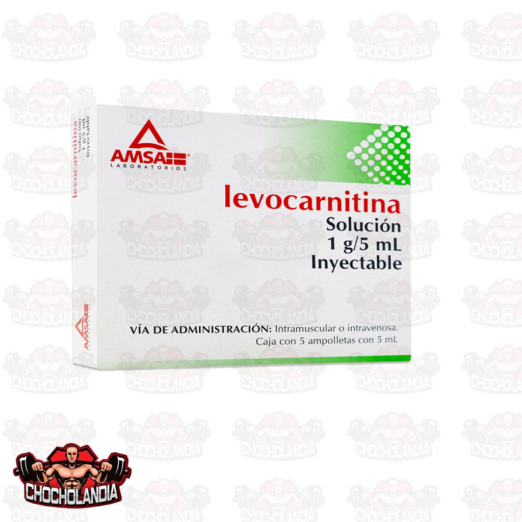 LEVOCARNITINA SOL INY 5 AMPTAS 1 G/5 ML AMSA