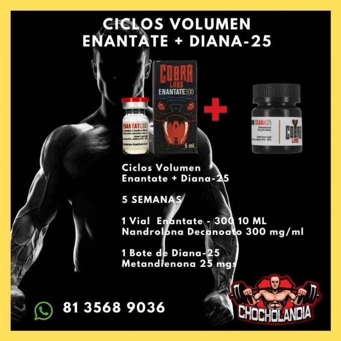 Ciclos Volumen Enantate + Diana-25 Cobra Labs